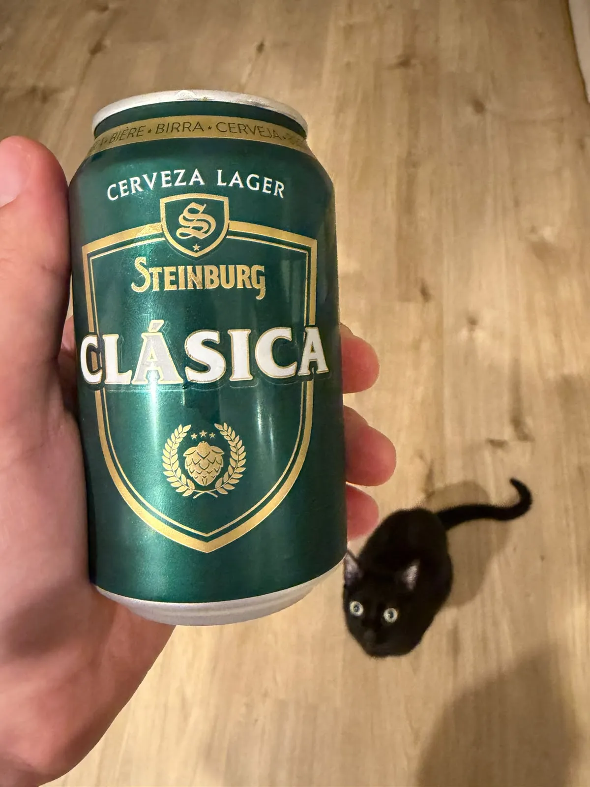 Lata de Steinburg Clásica del Mercadona sujetada en la mano, con un gato negro de fondo